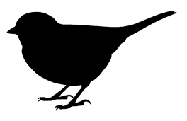 small bird black silhouette