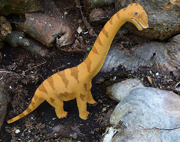 brachiosaurus picture