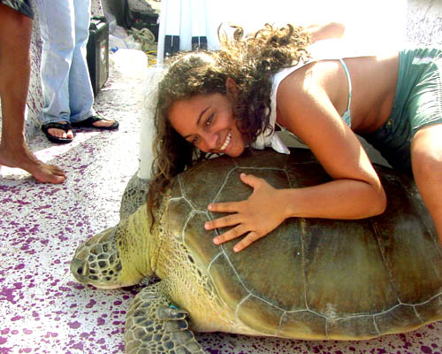 big green sea turtle and volunteer