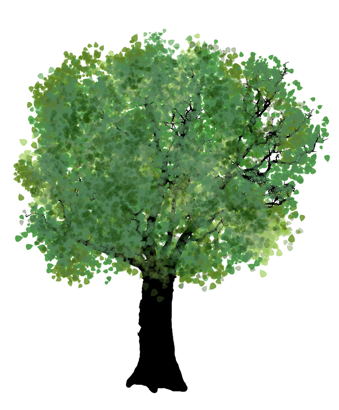 tree with green leaves