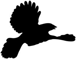 Blackbird-silhouette
