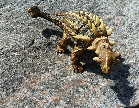 kind of Anchylosaurus