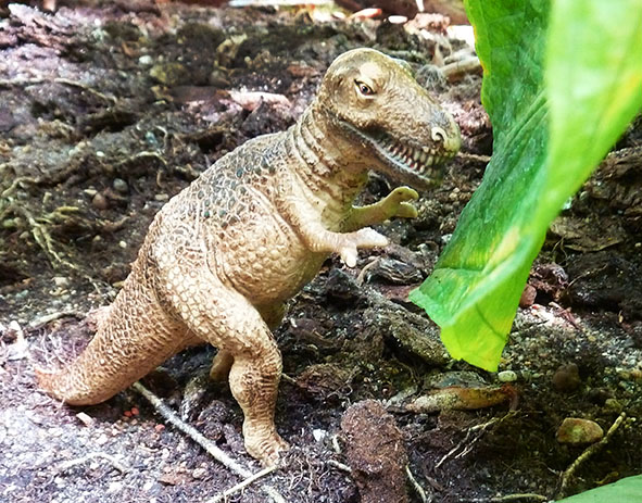 T-rex-in-rain-forest