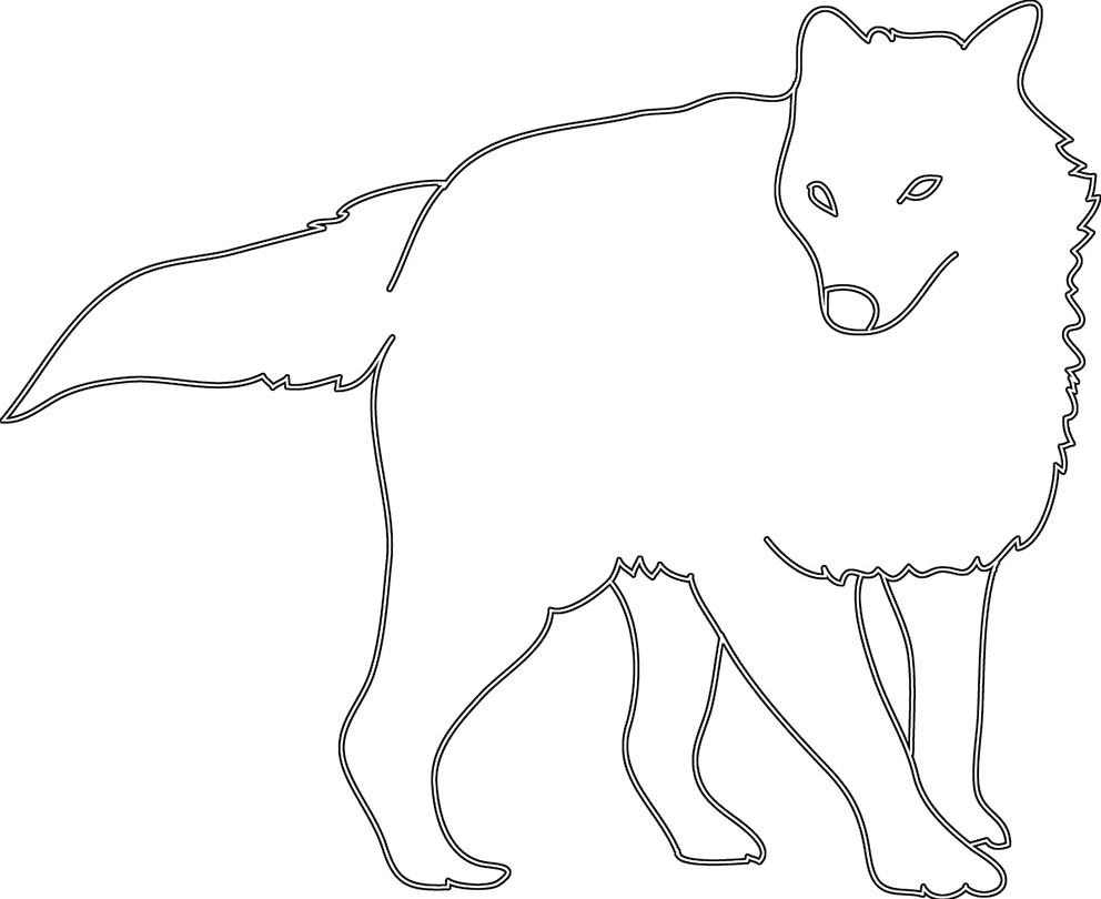 silhouette of wolf with winter fur