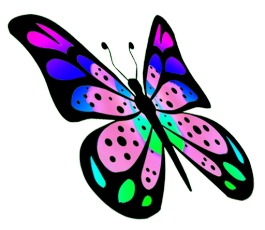 flying butterfly many colors