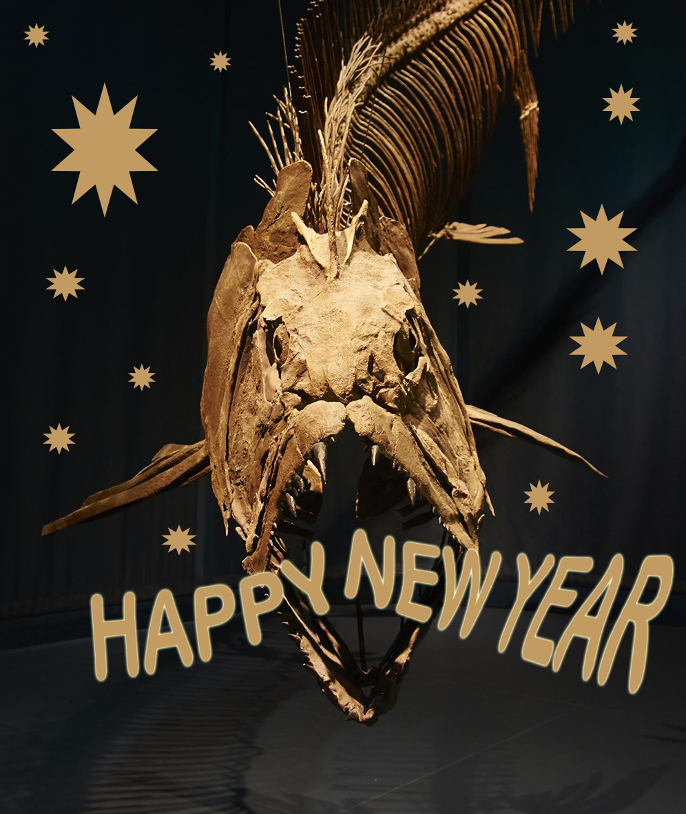 Happy New Year greeting weird
