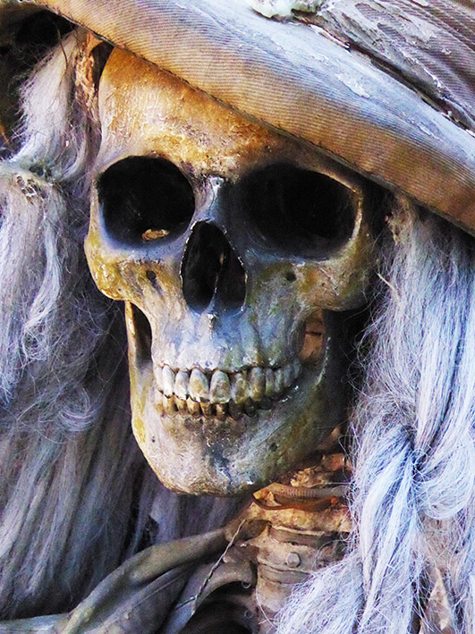 Halloween skeleton with hat