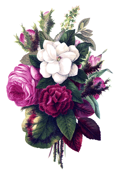 beautiful flowers roses and other flowers