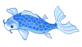 koi fish drawing very blue