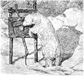 polar bear clipart old drawings 1897