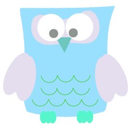 owl picture