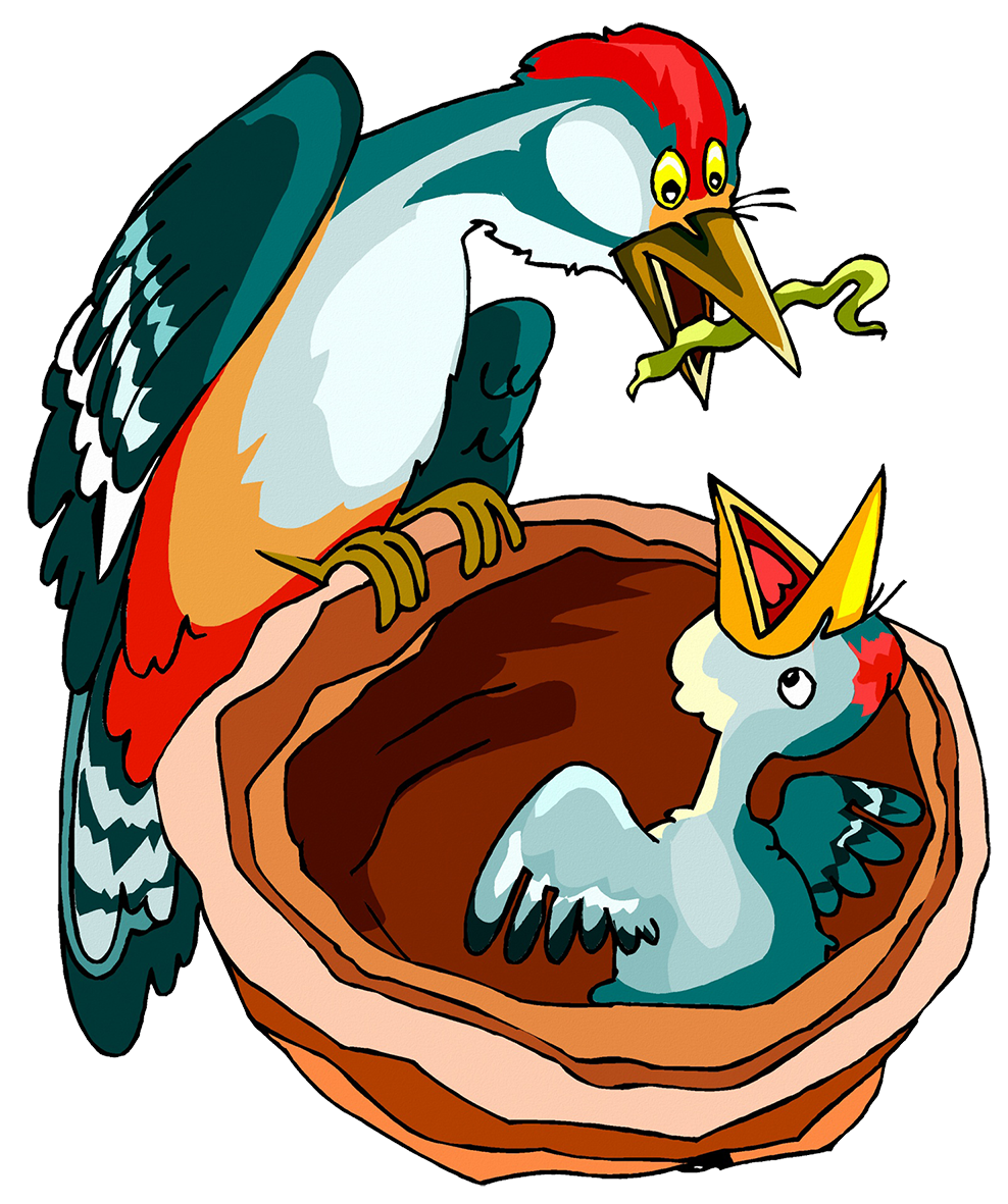 bird feeding chick with worm