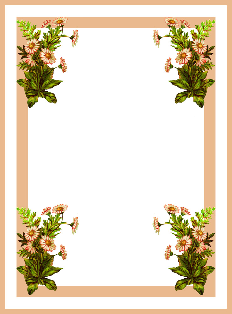 pink flower frame