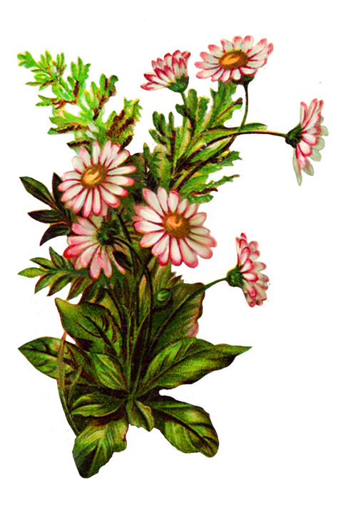 flower bouquet decoration