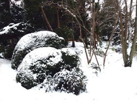 winter snow scenes