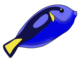 colorful blue fish swimming