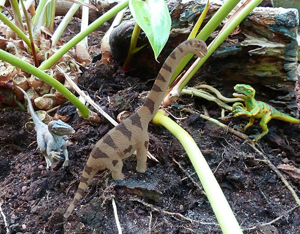 two dinosaurs attacking