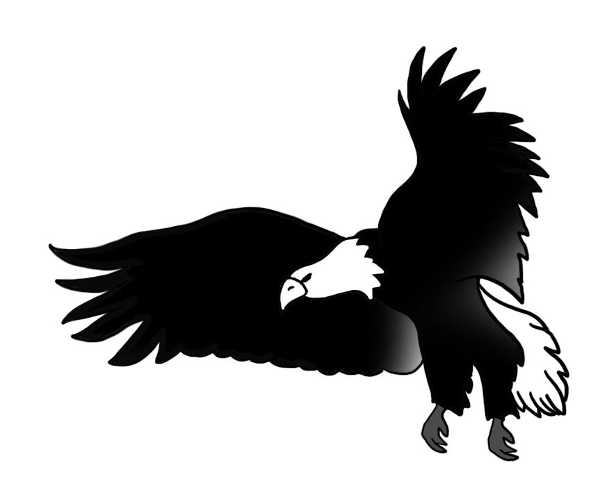 black white drawing flying bald eagle