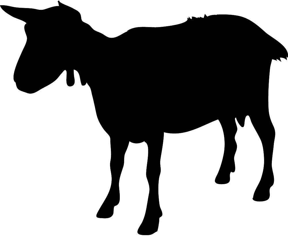 silhouette of goat
