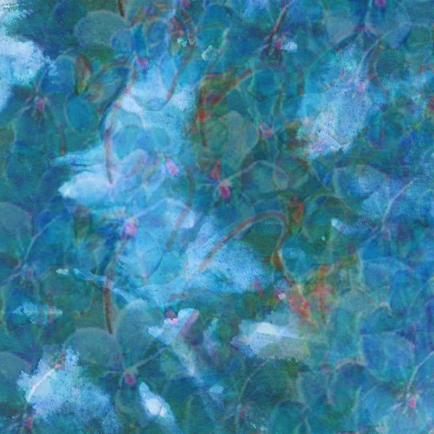 digital scrapbooking background blue flowers
