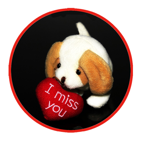 I miss you puppy for Valentines Day