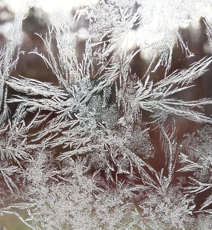 frost flowers on window pane