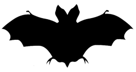 silhouette of bat