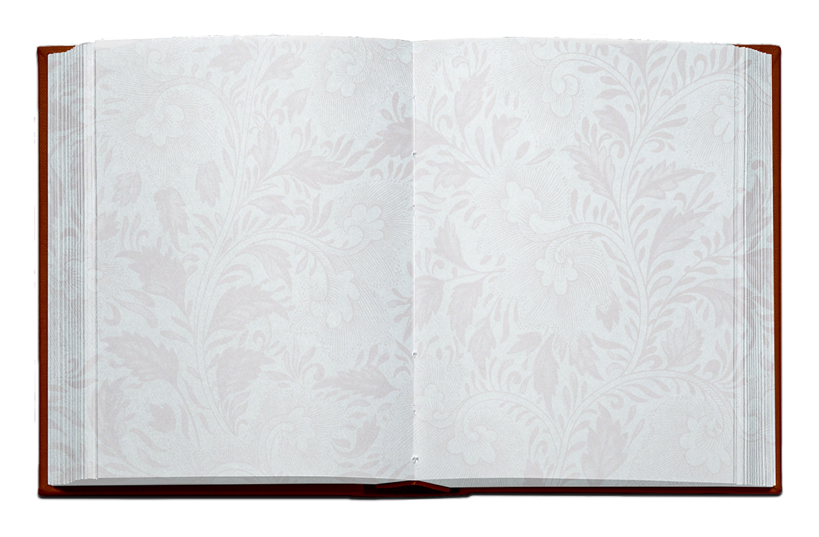 open book with ornamented pages