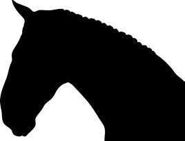 Dressage horse's head