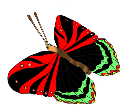 colorful butterflies image