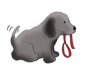 funny dogs with dog leash