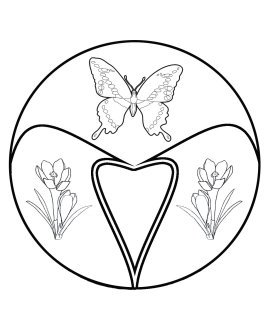 butterfly colouring page