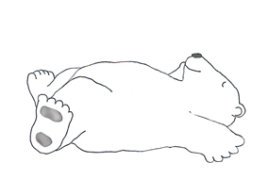 sleeping polar bear sketch