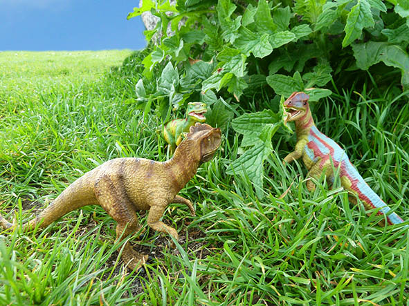 Three dinosaurs meeting