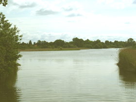 my favorite season summer landscape water