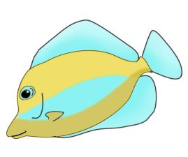 colorful tropical fish