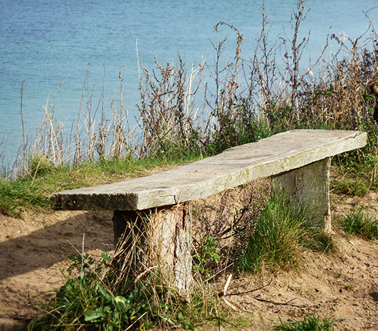 bench overlooking the autumn sea
