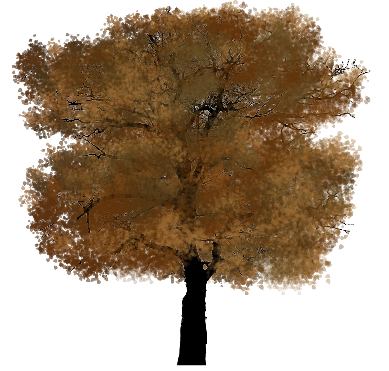 colorful autumn tree