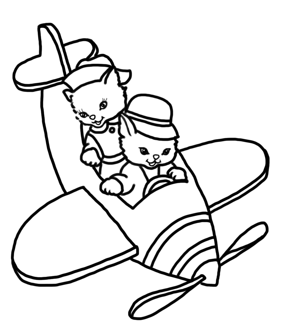 two cats in an aircraft