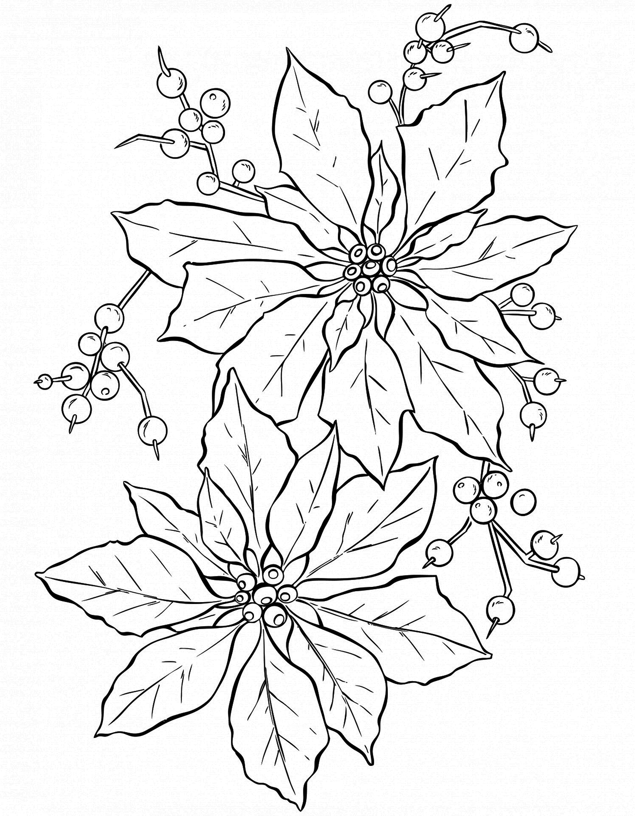 poinsettia flower coloring page