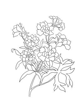 flower coloring pages to print