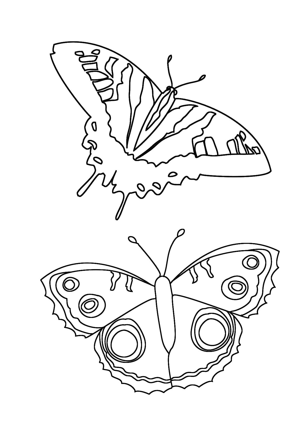 coloring page with butterflies