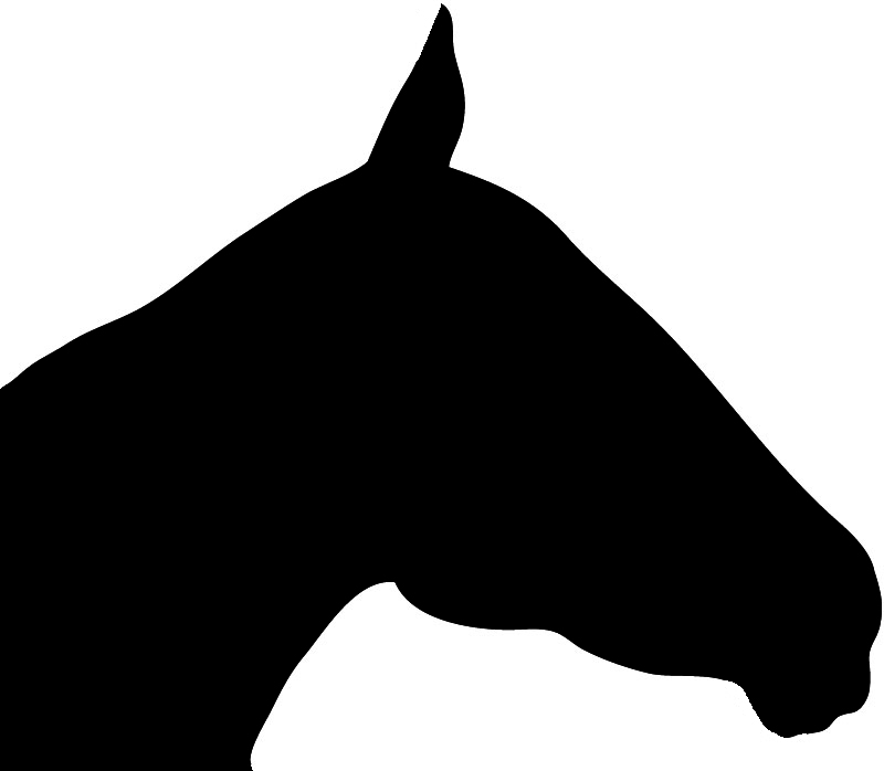 Black horse head silhouette