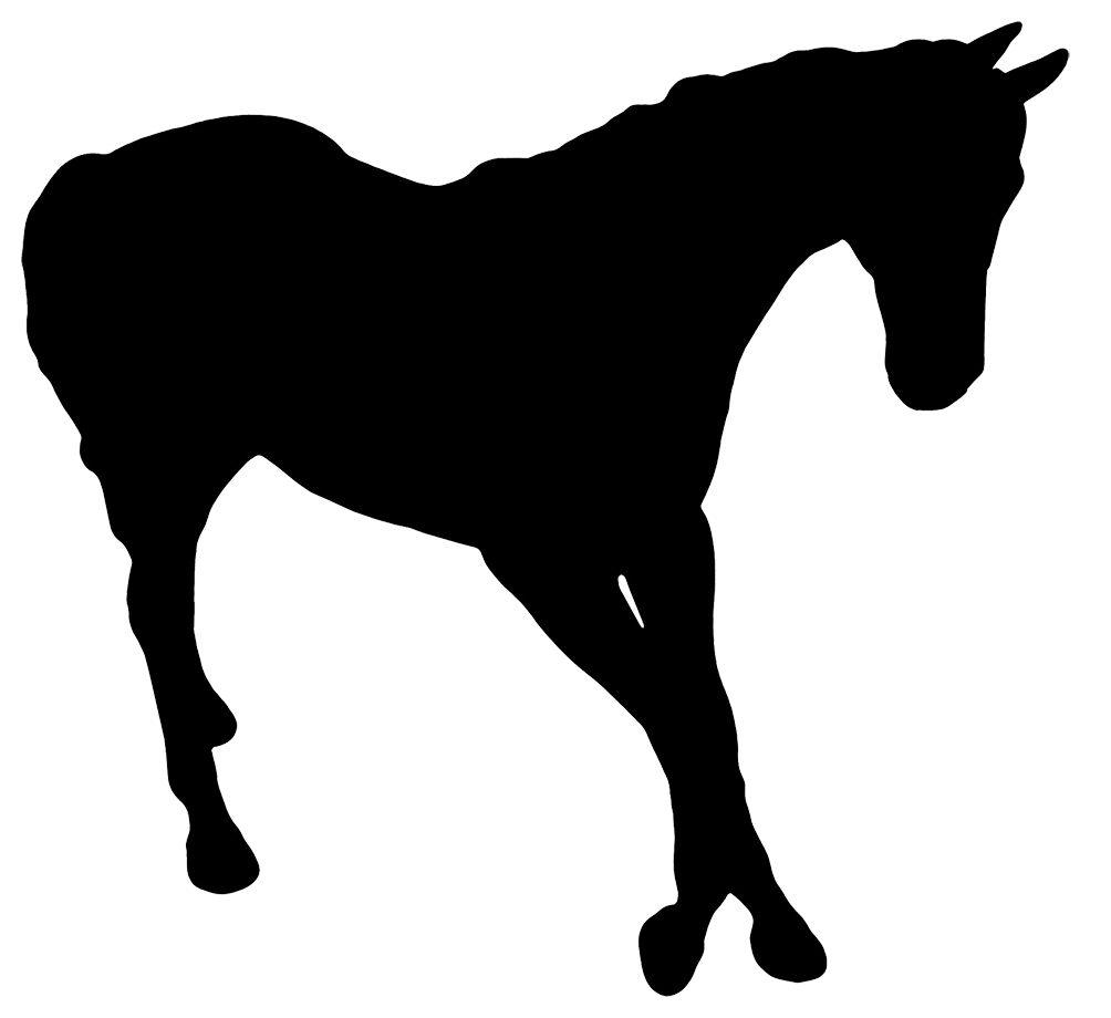 silhouette of horse