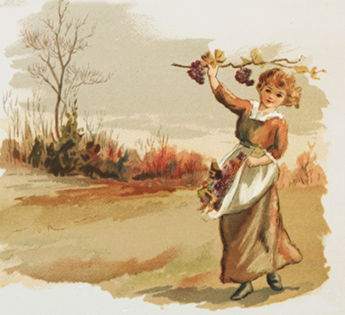 fall drawing with child picking grapes