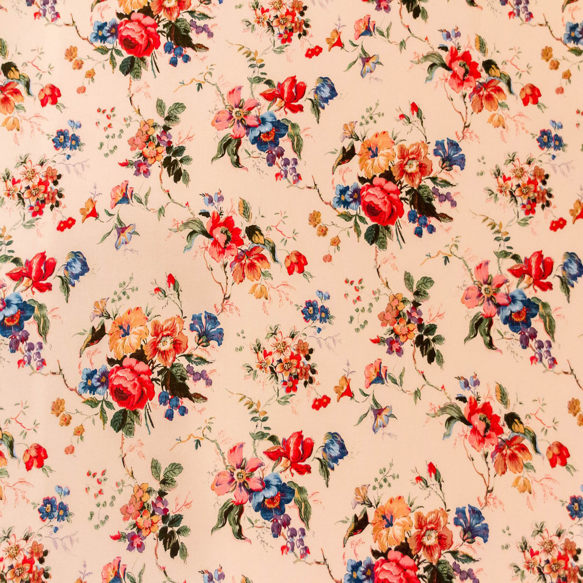 Rosa floral vintage background