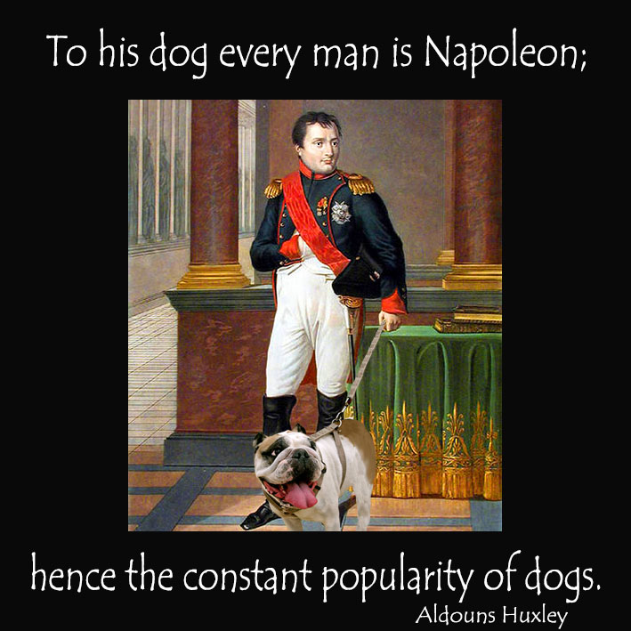 picture quote dog napoleon