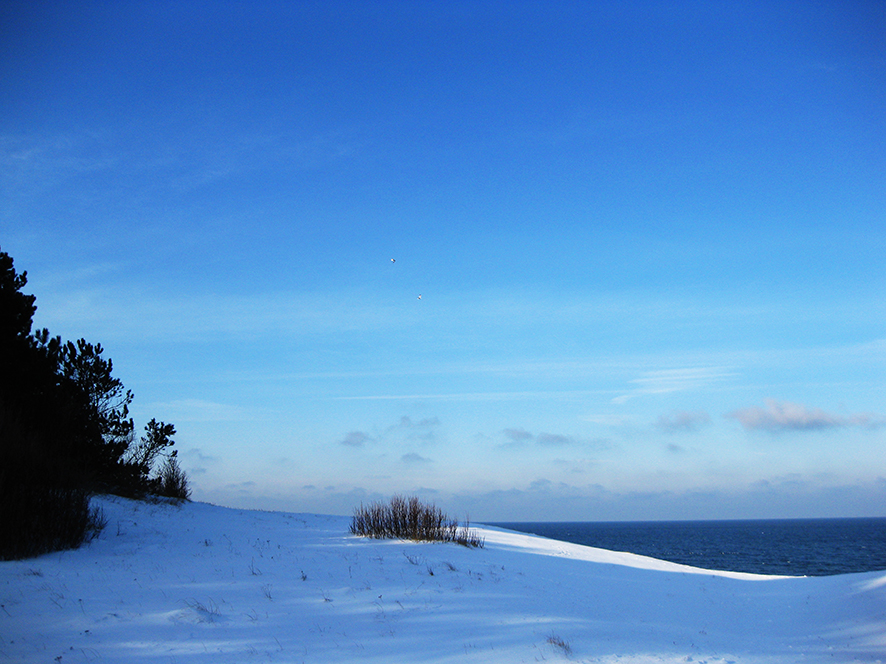 winter pictures snow sea