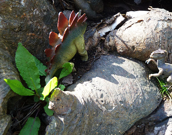Dinosaur-pictures-stegosaurus-albertosaurus