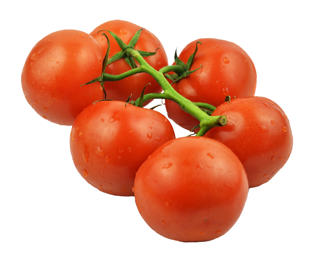 tomatos on stem